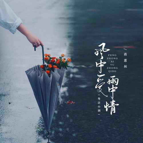 风中爱雨中情（DJEva粤语小调）