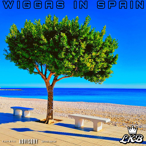 Wigga's In Spain (Explicit)