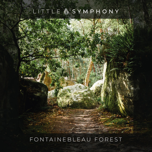 Fontainebleau Forest