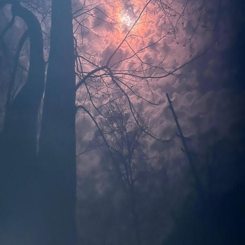 Run (feat. Chris Egerton, Charles Stacy & Maxwell Quinn) [Impromptu at the Music inn]