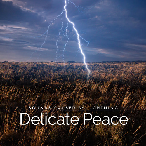 Delicate Peace