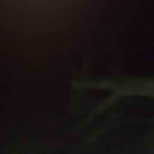 blame (feat. jvnksie) [Explicit]