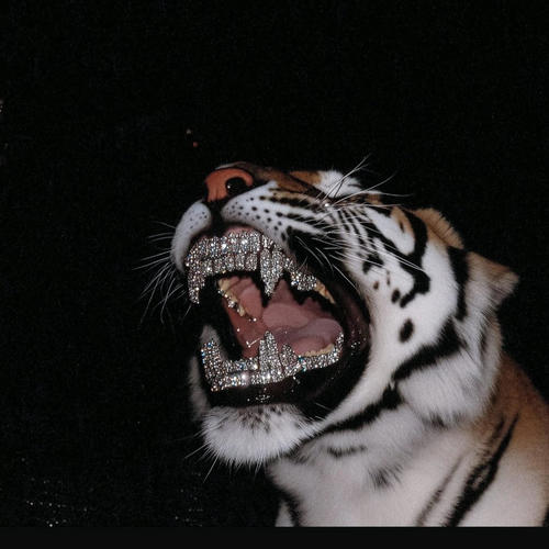 Splash Bros (feat. Baabypski) [Explicit]