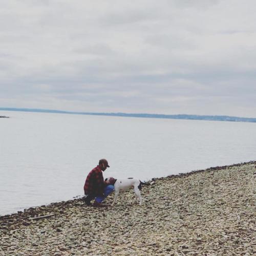 Pain and Love, Life and Death