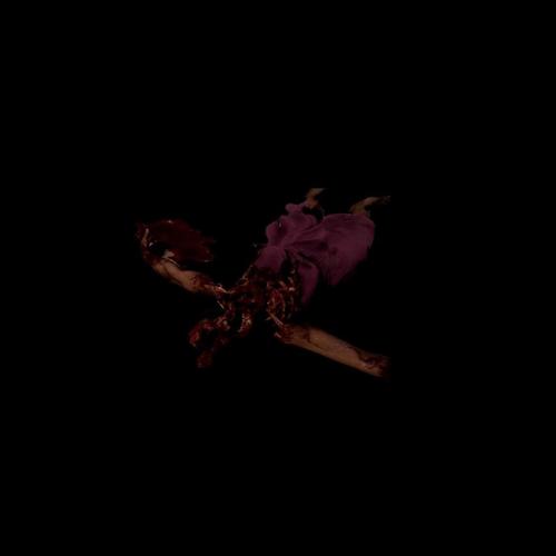 UAV! (feat. Baby Rilla) [Explicit]