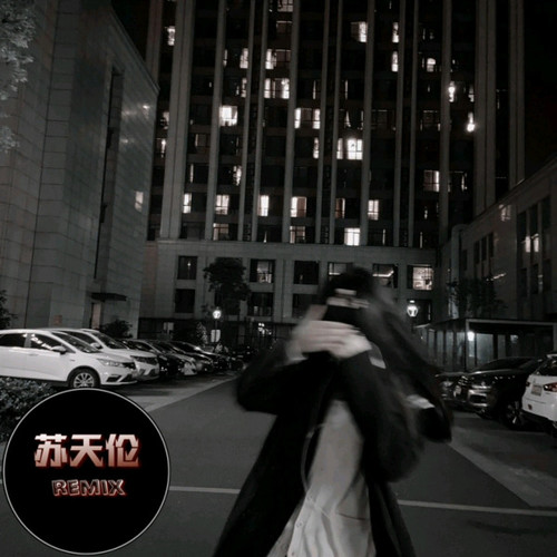 春泥(DJ新宝版）