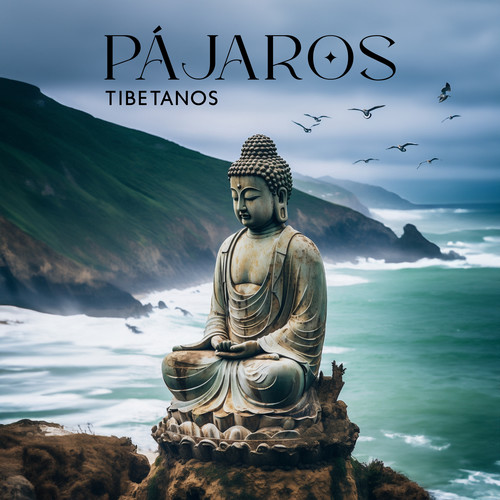 Pájaros Tibetanos: Música Budista con Pájaros Cantando para la Meditación