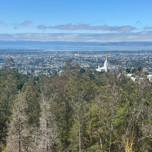 Freestyle Sessions 35 (Explicit)