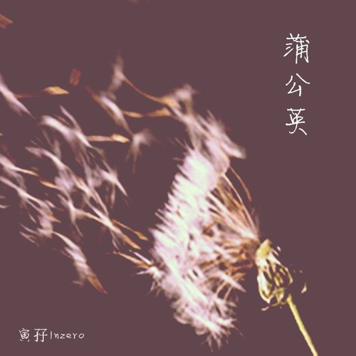 蒲公英