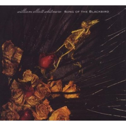 Song of the Blackbird