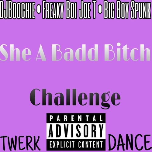 She A Badd ***** Challenge (feat. DJBoochie, Big Boy Spunk &  Freaky Boi Joe-T) [Explicit]