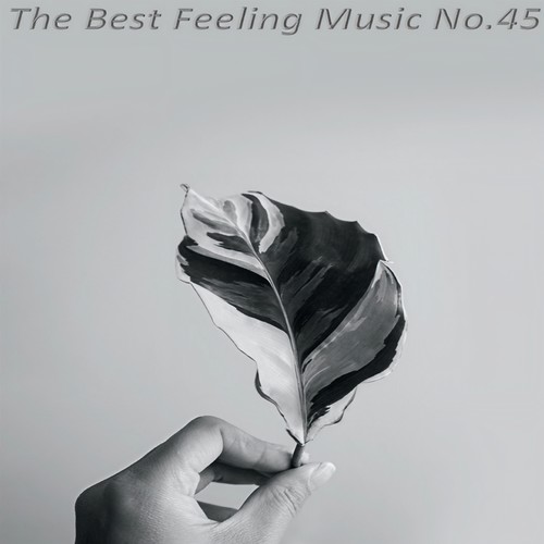 The Best Feeling Music No.45