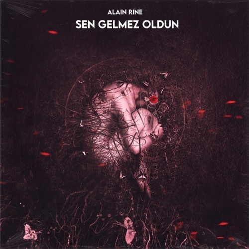 Sen Gelmez Oldun
