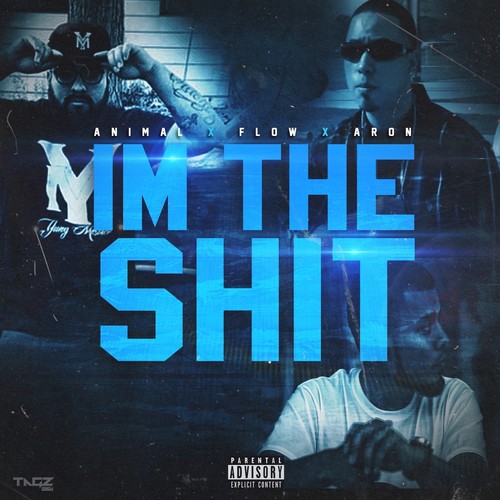 I'm the **** (feat. Flow & Aron) [Explicit]