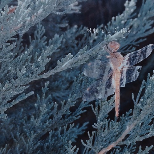 澄岚的翻唱曲目