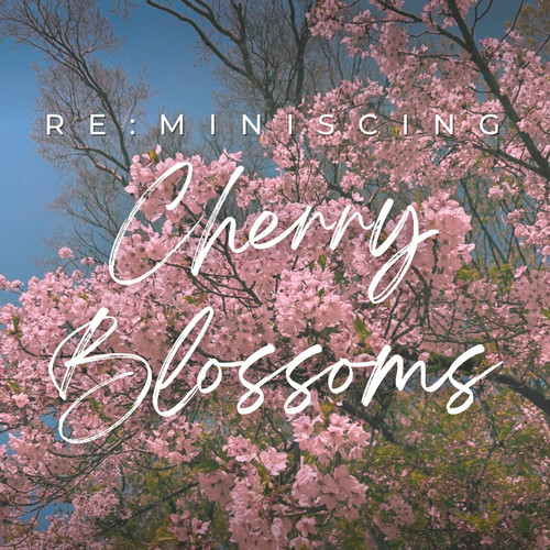 Re:Miniscing Cherry Blossoms