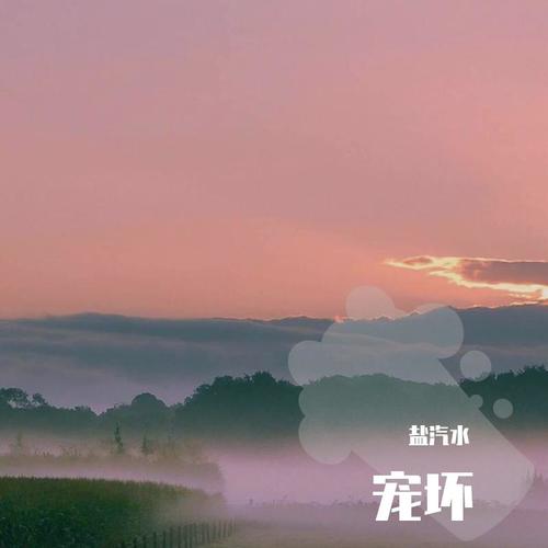 宠坏