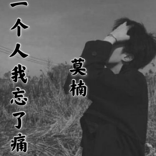 一个人我忘了痛