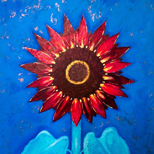 Expedition Clairvoyance