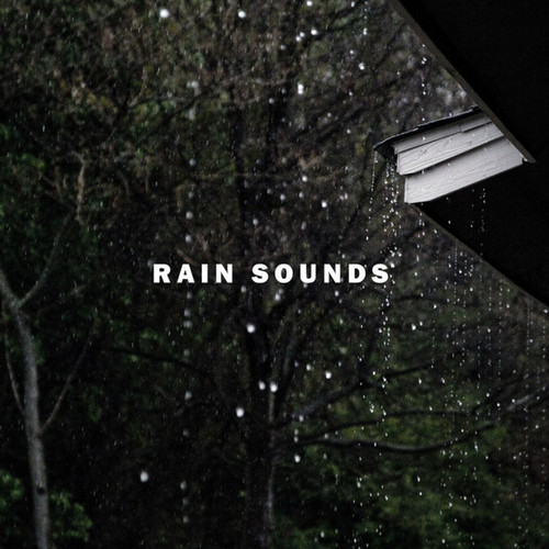 Rain Sounds at night