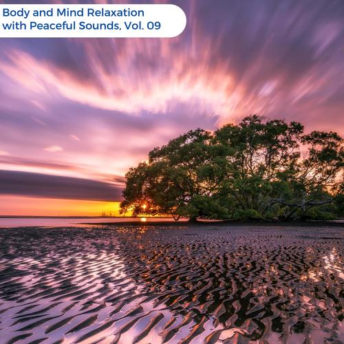 Body And Mind Relaxation With Peaceful Sounds, Vol. 09