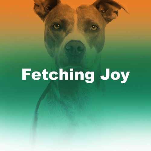 Fetching Joy