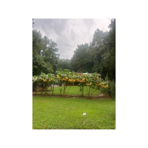 Mi Delito Es Ser Latino