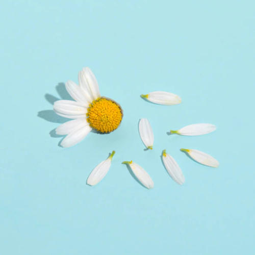 Love me not (Explicit)