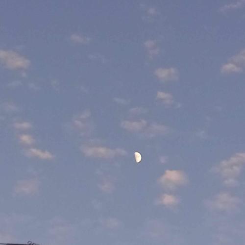 SIN DECIR SEXO 2 (DEMO JUEGO)