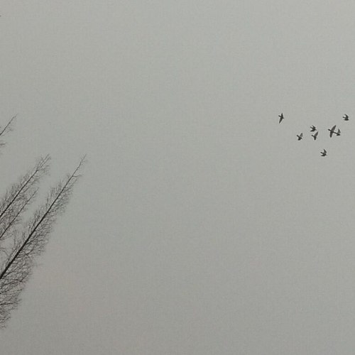 阳春三月
