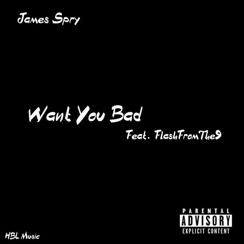 Want You Bad (feat. FlashFromThe9) (Explicit)