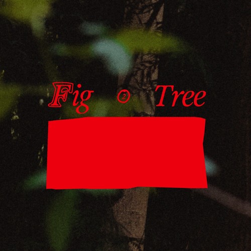 Fig Tree