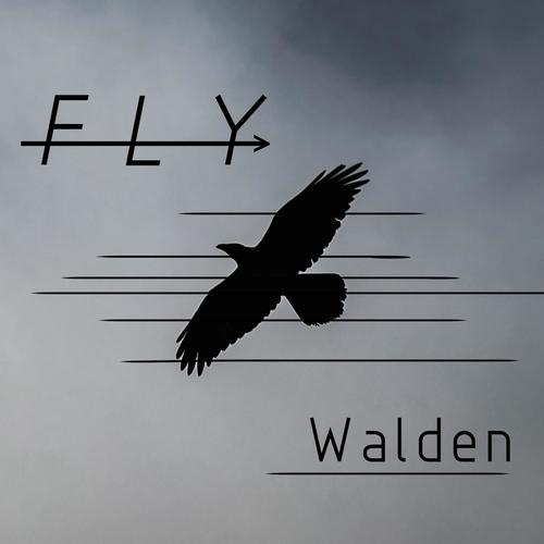 Fly