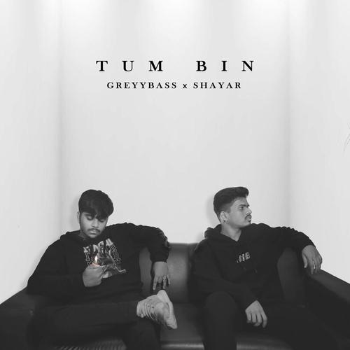 Tum bin (feat. Shayar & Greyybass)