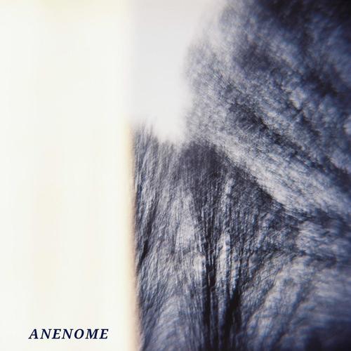 Human Remains (Explicit)