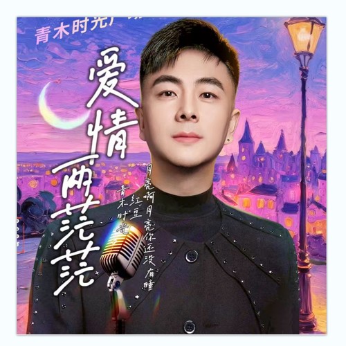 爱情两茫茫（DJ男版）