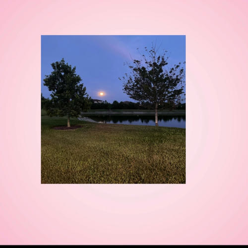 Wishing You Was Home (feat. B Brizzy)