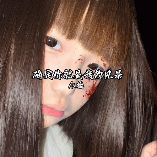 确定你就是我的风景