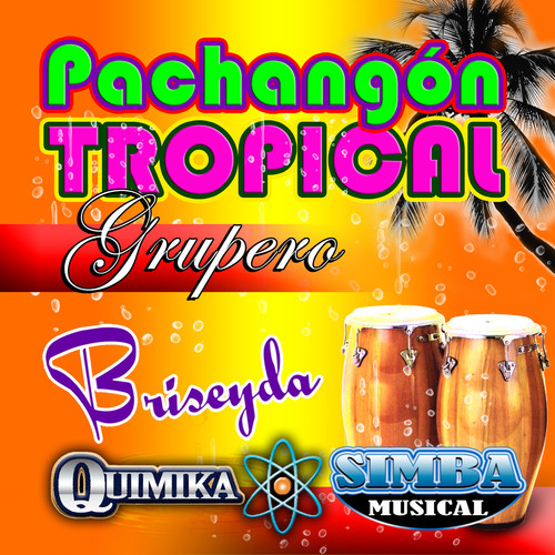 Pachangon Tropical Grupero