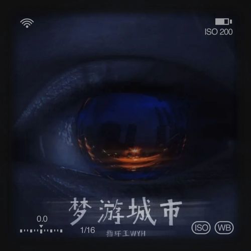 梦游城市（Sleepwalking in the city）