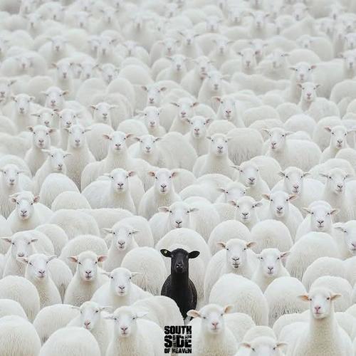 Man of the House (feat. DJ TMB) [Explicit]