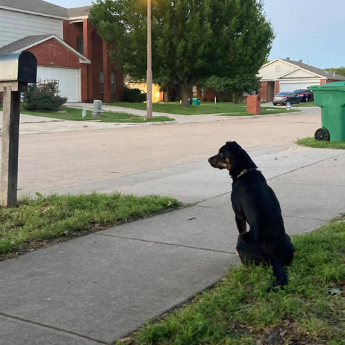 Some Type of way (feat. Brendan Florez & T00ny)