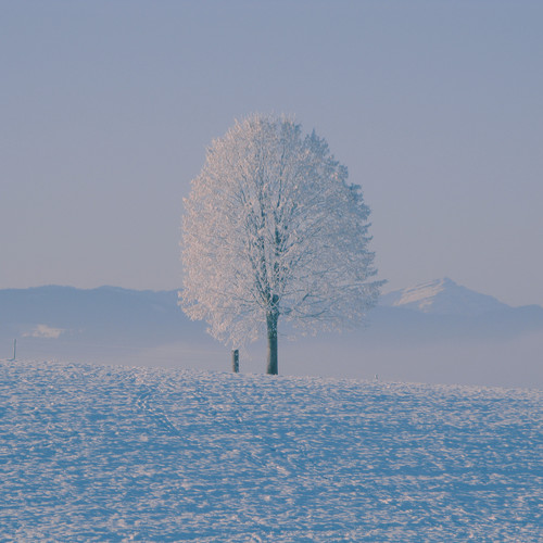 I Will Go to You Like the First Snow - Piano Version