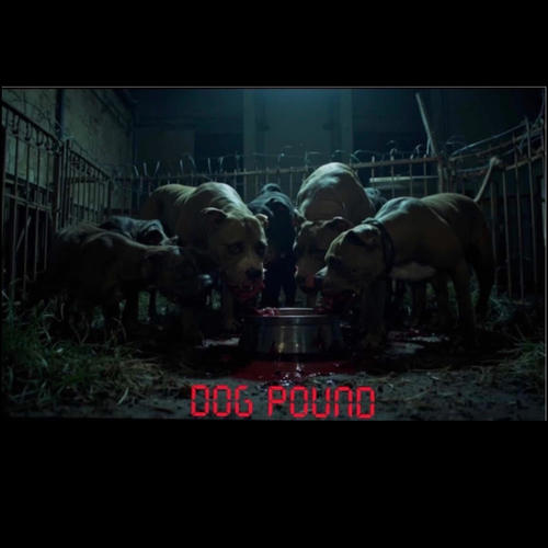 Dog Pound (Explicit)