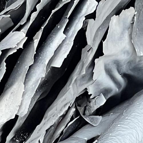 All Your Belongings And The Ring (Explicit)