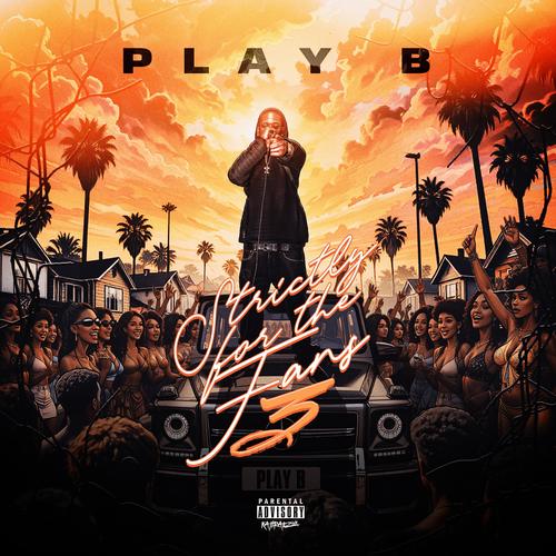 Strictly For The Fans 3 (Explicit)