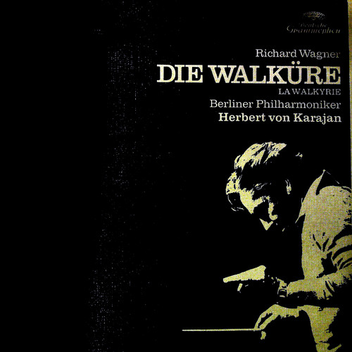 Der Ring Des Nibelungen 2: Die Walkure (La Walkyrie)（黑胶版）