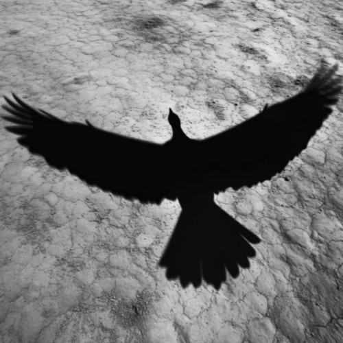 Off with They Heads (Explicit)