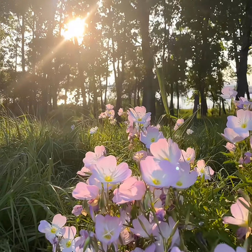 我的爱给谁都热烈DJ