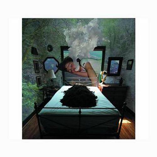 Aokigahara (青木原)